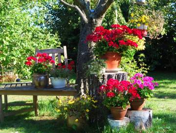 Ferienwohnung für 2 Personen in Fuhlendorf, Vorpommern, Bild 4