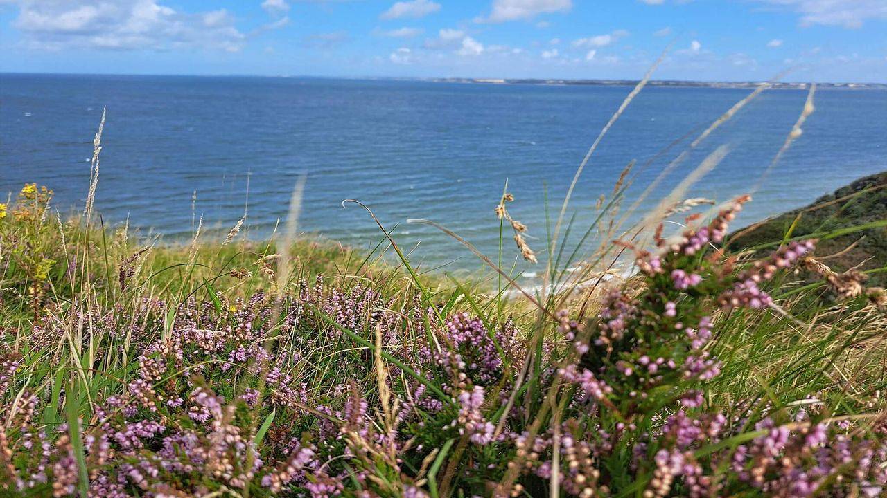 Ferienhaus für 7 Personen (90 m²) in Struer in Humlum, Struer