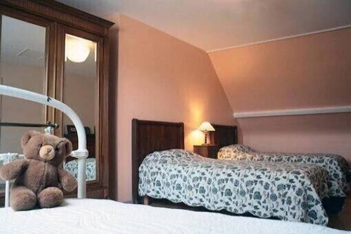 Location de vacances pour 7 personnes, avec jardin et terrasse à Saint-Denis-sur-Loire - 3