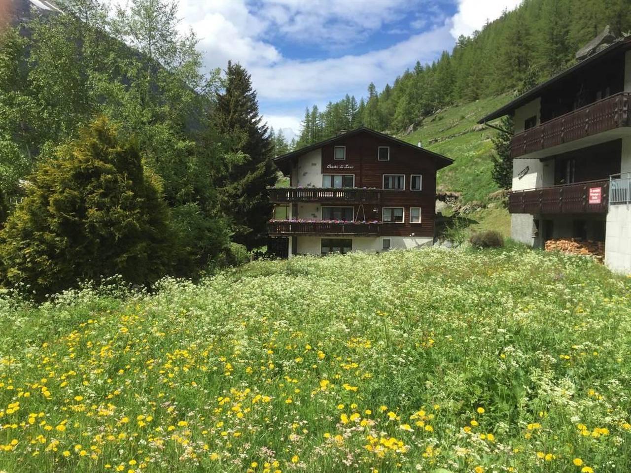 Geheel appartement, Cresta di Saas in Saas-Grund, Walliser Alpen