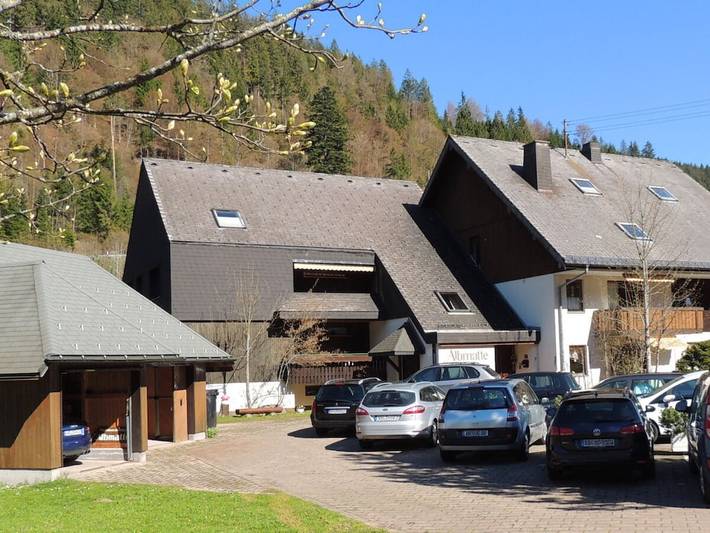 Location de vacances pour 4 personnes, avec terrasse et jardin, animaux acceptés à Menzenschwand - 3