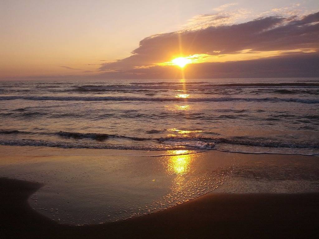 Ganze Wohnung, Von der Spitze der Palmen in South Padre Island, Laguna Madre