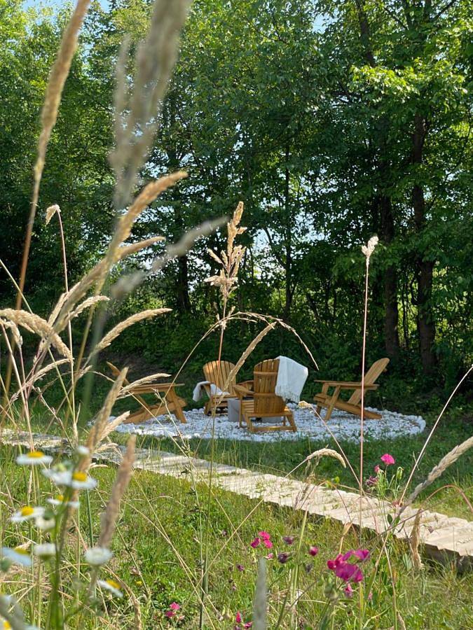 Bungalow für 4 Personen, mit Ausblick und Garten, mit Haustier in Rumänien - 3
