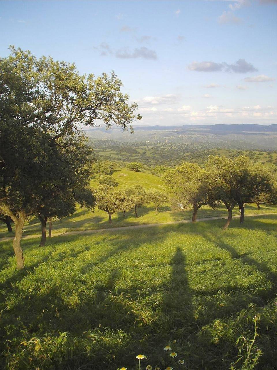 El Añadío in Vilches, Provincia de Jaén
