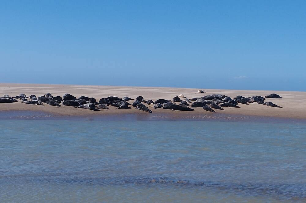 Maison de Campagne à 10 Minutes à Pied de la Plage in Marck, Région de Calais