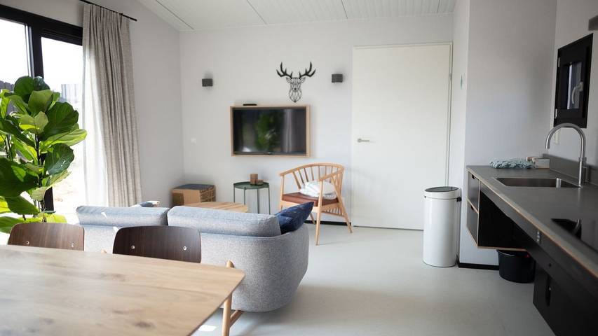 Ferienhaus für 4 Personen, mit Garten, mit Haustier in Zandvoort - 3