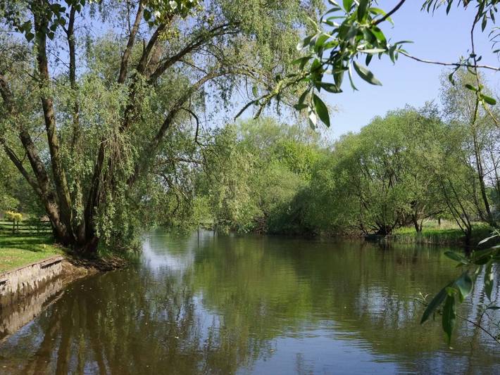 Ferienwohnung für 4 Personen, mit Seeblick und Garten im Spreewald - 4