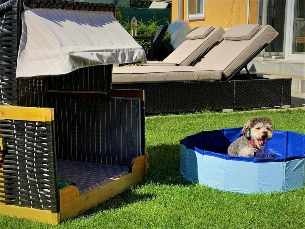 Wellness Holiday Home Bergheide in Wildenbruch, Michendorf