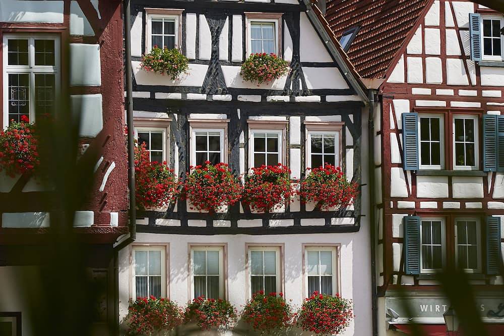 Ganze Wohnung, Fewo im Herzen der historischen Altstadt, Dachterasse zum Innenhof, Top Ausblick in Bad Urach, Albsteig Etappe 9