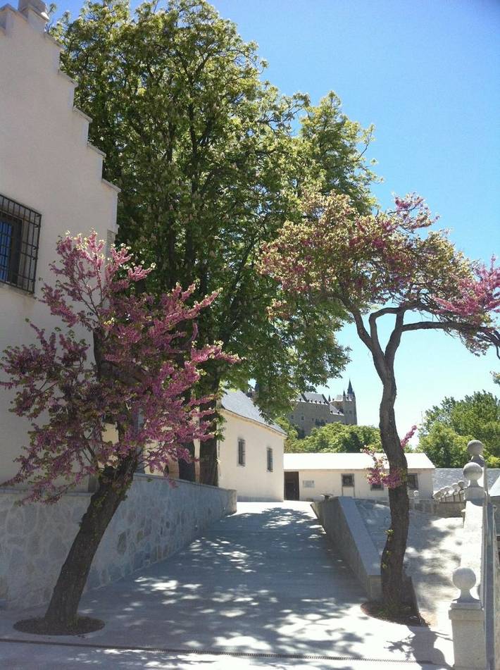 Casa de huéspuedes para 3 personas en Segovia