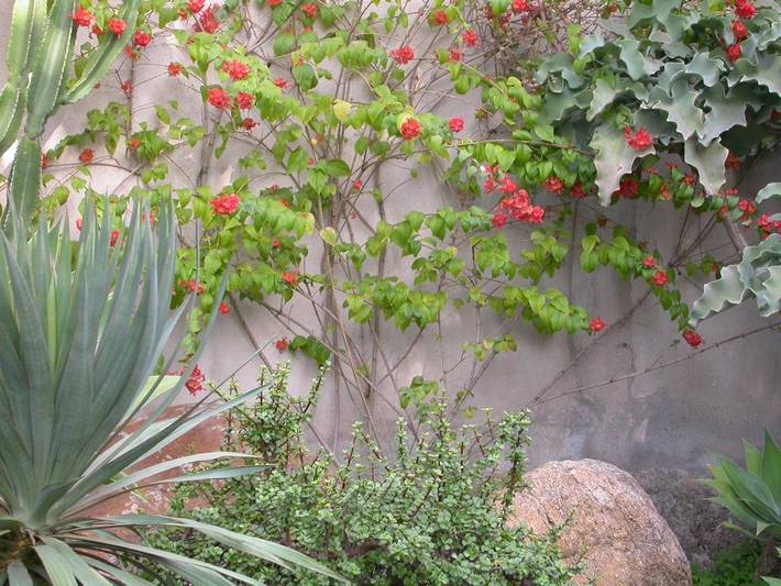 Location de vacances pour 8 personnes, avec jardin et vue, animaux acceptés à Milazzo - 2