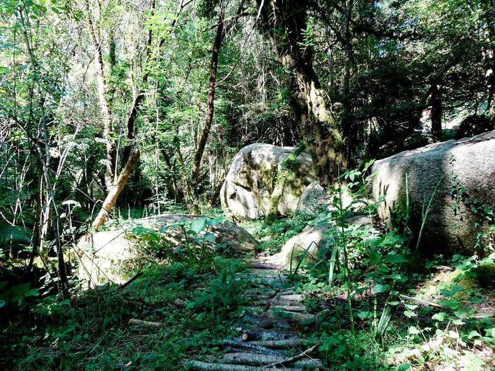 Gîte pour 5 personnes, avec vue et balcon à Berrien - 2