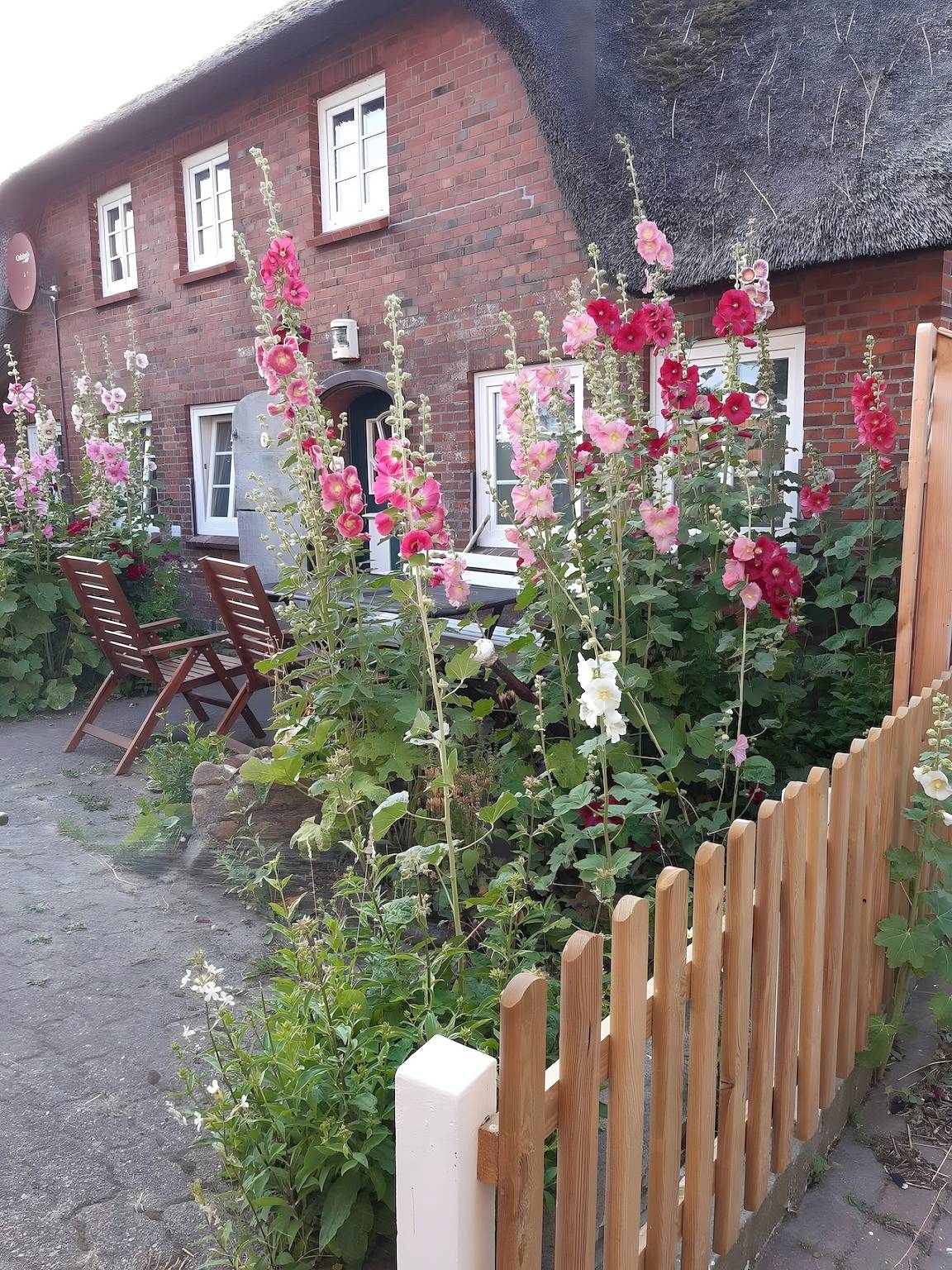 Ferienhaus Petersen mit Meerblick, Gemeinschaftsterrasse und Wlan in Oland, Langeneß