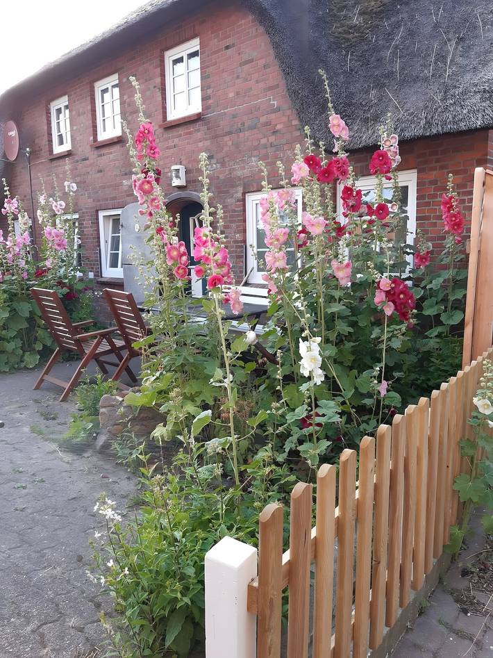 Ferienhaus für 9 Personen, mit Garten - 1
