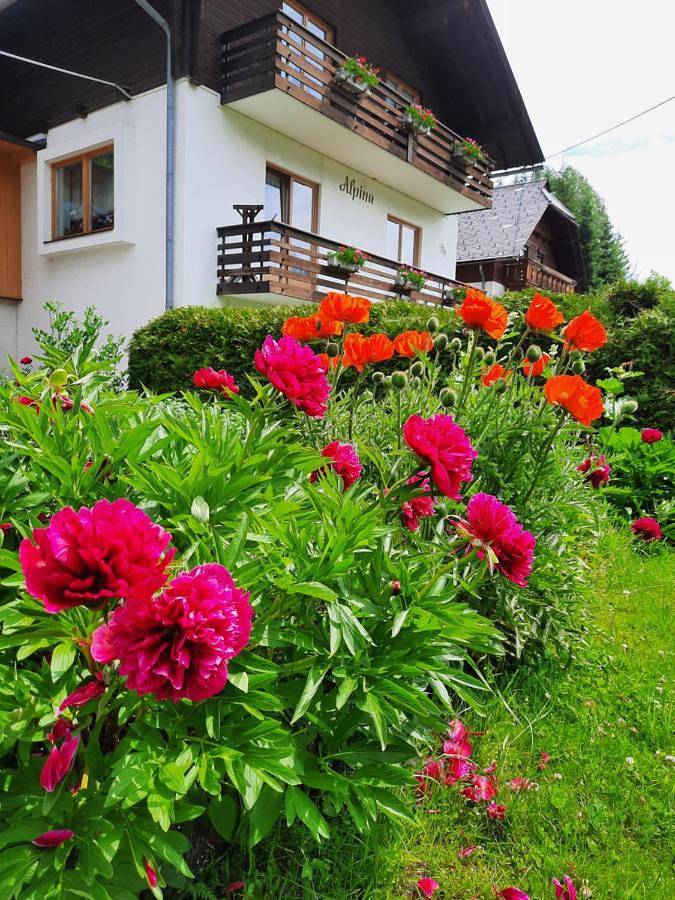 Ferienwohnung für 4 Personen, mit Ausblick und Seeblick sowie Garten, mit Haustier am Weissensee - 2