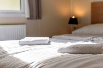 Lodge voor 4 Personen in Veluwe, Afbeelding 2