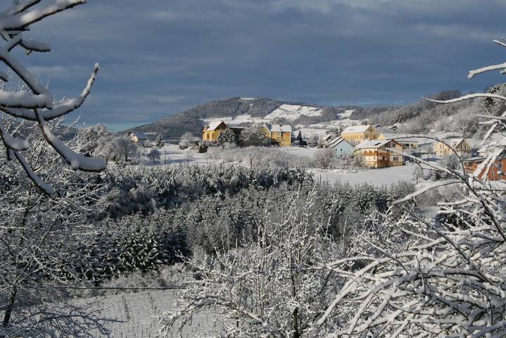 Hotel für 4 Personen, mit Garten und Pool sowie Sauna, kinderfreundlich in Kaindorf