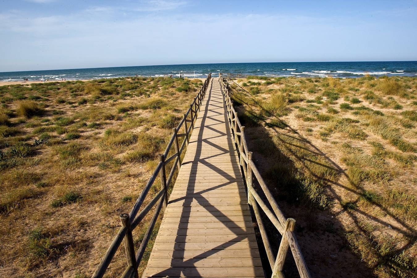 Ganze Wohnung, Infante E8 - 8º    /   Playa De Gandia in Playa de Gandía, Costa de Valencia