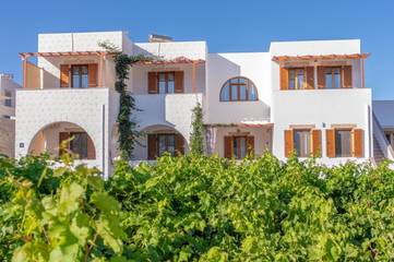 Gîte pour 3 personnes, avec vue et jardin, animaux acceptés dans Patmos