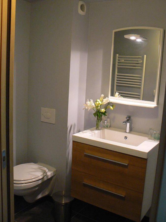 Location de vacances pour 4 personnes, avec terrasse et jardin à Lambersart - 2