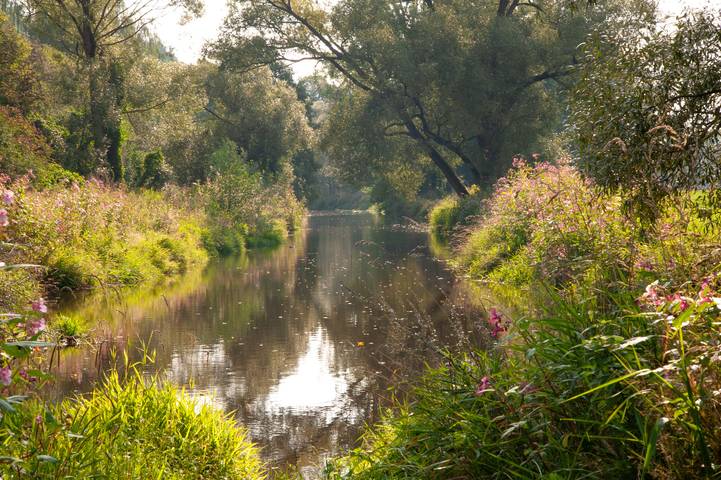 Ferienhaus für 3 Personen, mit Balkon/Terrasse und Terrasse, kinderfreundlich im Fichtelgebirge - 2