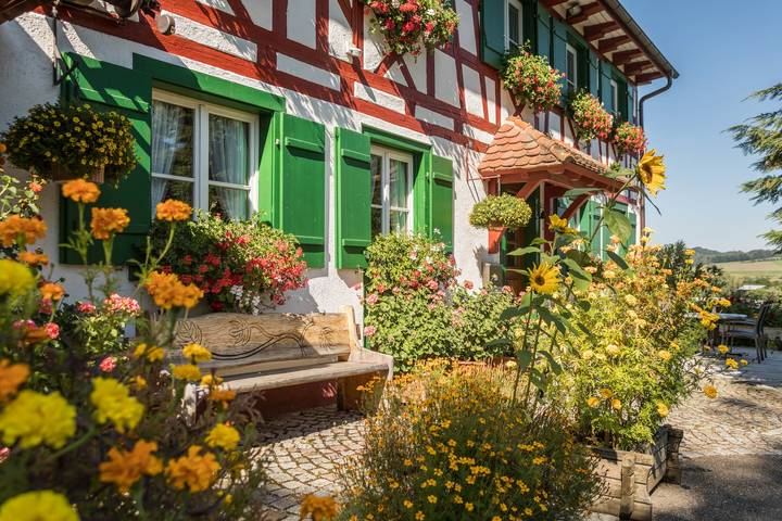 Ganze Wohnung, Ferienwohnung "Risthof 1" mit Wlan, Gemeinschaftsgarten, Sauna & Spielplatz in Owingen, Region Bodensee-Oberschwaben