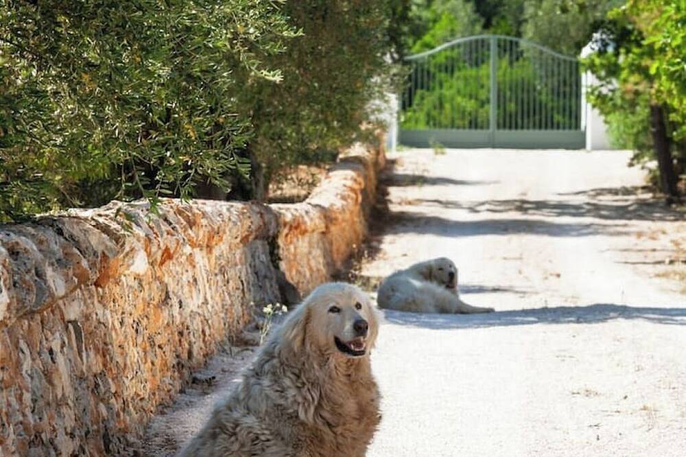 Masseria Paradiso B&B - Suite Laurus in Salento