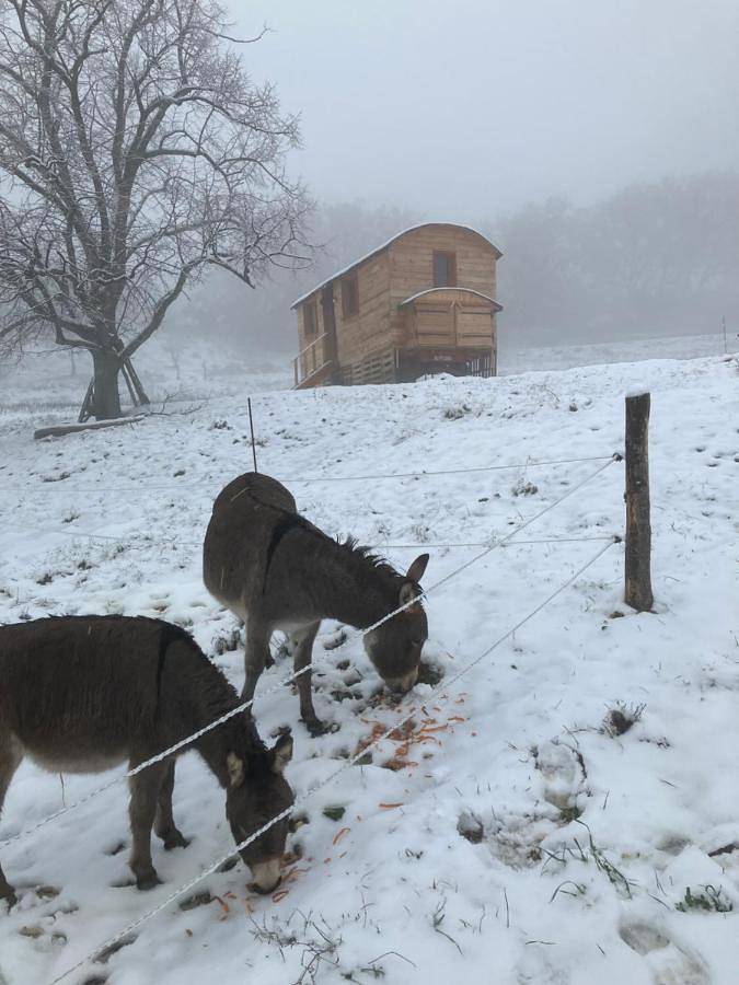 Location de vacances pour 2 personnes, avec jardin ainsi que terrasse et vue à Entrepierres - 3