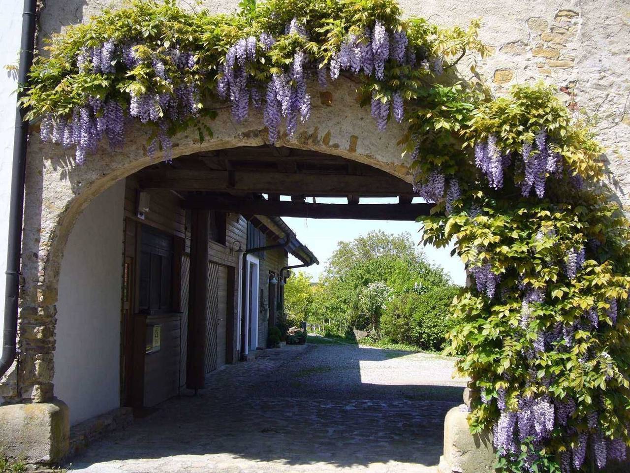 Silvia Krafts Bed and Breakfast in Schallstadt, Südschwarzwald