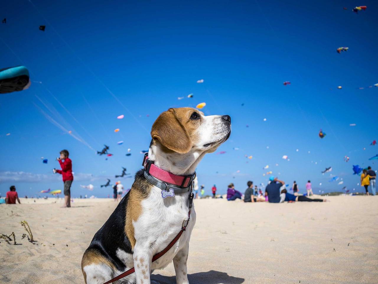 Ganze Ferienwohnung, Ferienwohnung Wöhrmeyer in Schillig, Wangerland