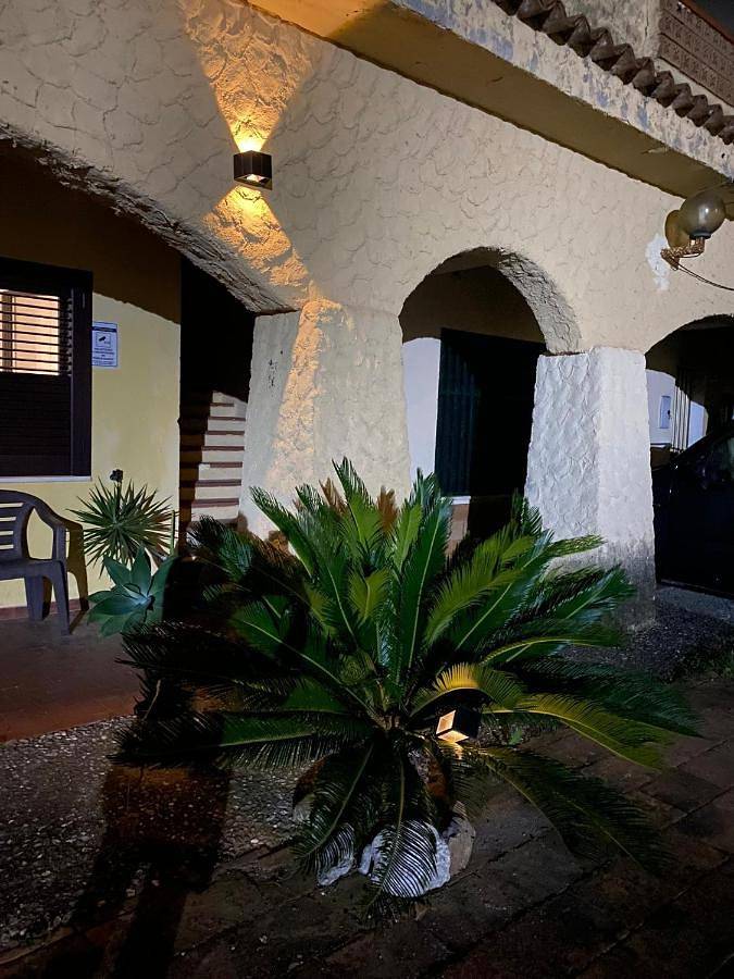 Gîte pour 3 personnes, avec vue et jardin, animaux acceptés à Scalea - 4