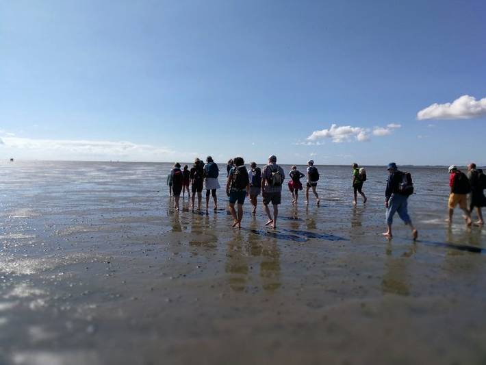 Ferienwohnung für 4 Personen, mit Garten in Mildstedt - 3