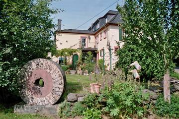 Pension für 6 Personen in Mülheim, Moseleifel, Bild 3