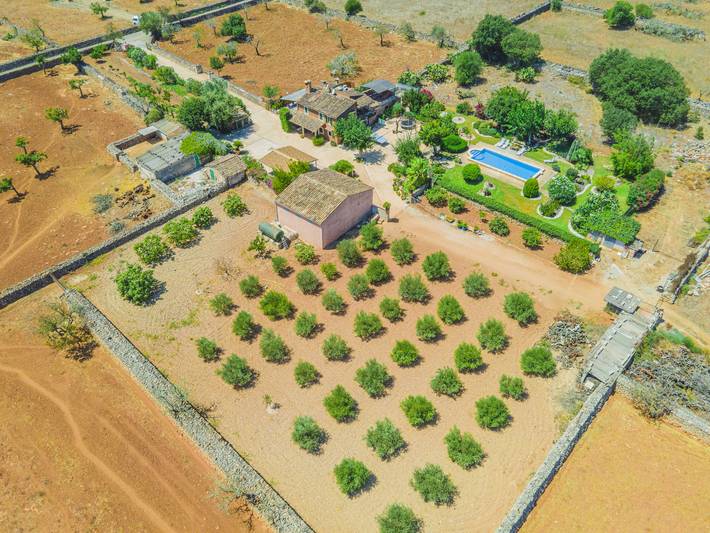 Villa für 6 Personen, mit Terrasse und Garten in Santa Margalida - 3