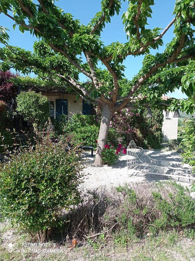 Location de vacances pour 3 personnes, avec piscine ainsi que vue et jardin, animaux acceptés à Blauvac - 2