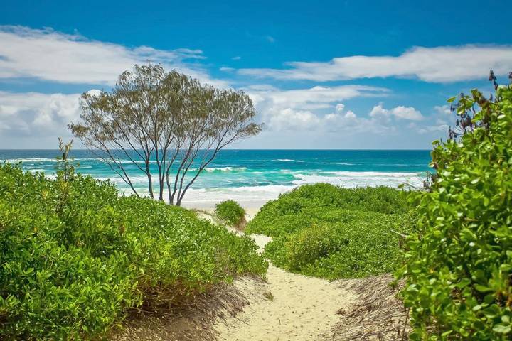 Location de vacances pour 4 personnes, avec jardin et sauna ainsi que vue et piscine à Byron Bay - 4