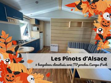 Cottage pour 5 personnes, avec piscine et terrasse à Boofzheim