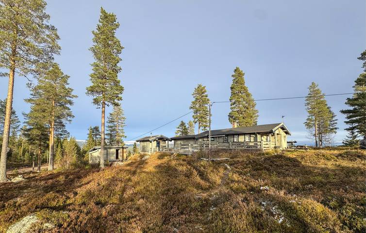 Ferienhaus für 10 Personen, mit Sauna und Terrasse in Trysil - 2