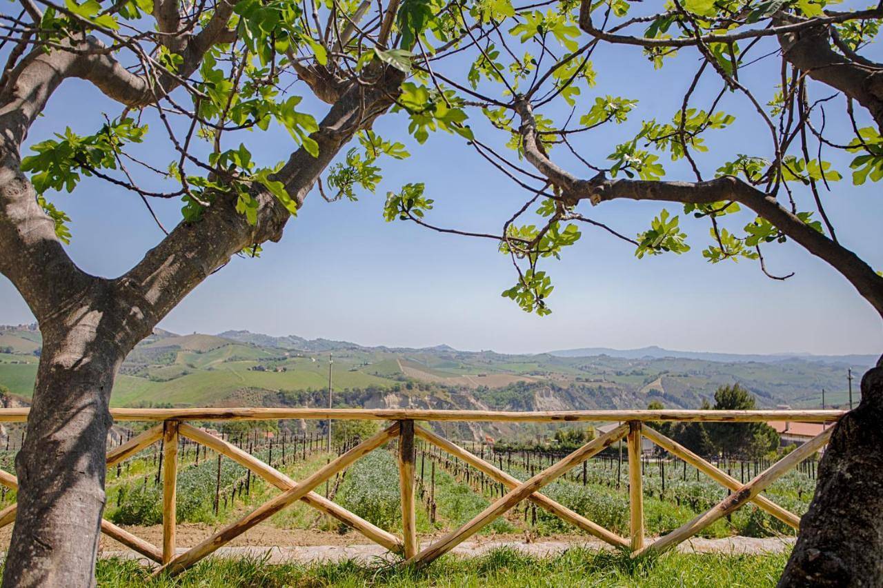 La Terrazza sul Vigneto in Offida, Ascoli Piceno Provinz