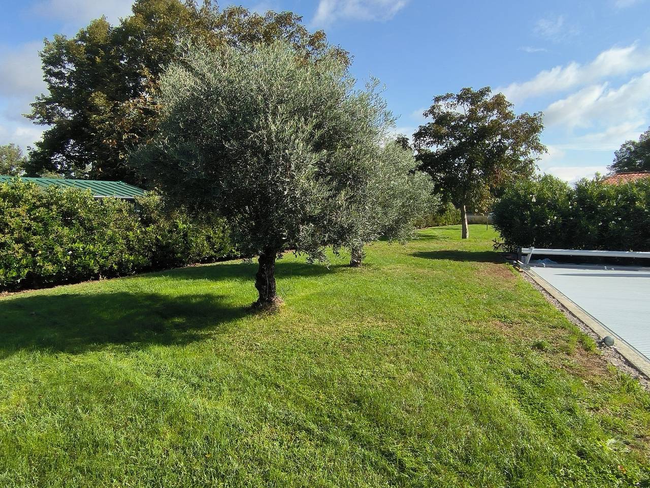 Gite Touny Bonnefil in Lagrave, Région d'Albi