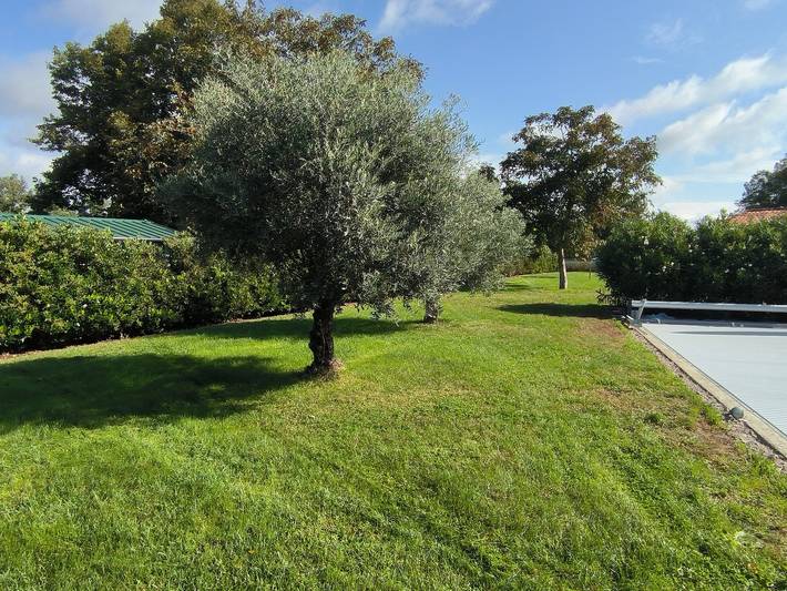 Gîte pour 6 personnes, avec piscine