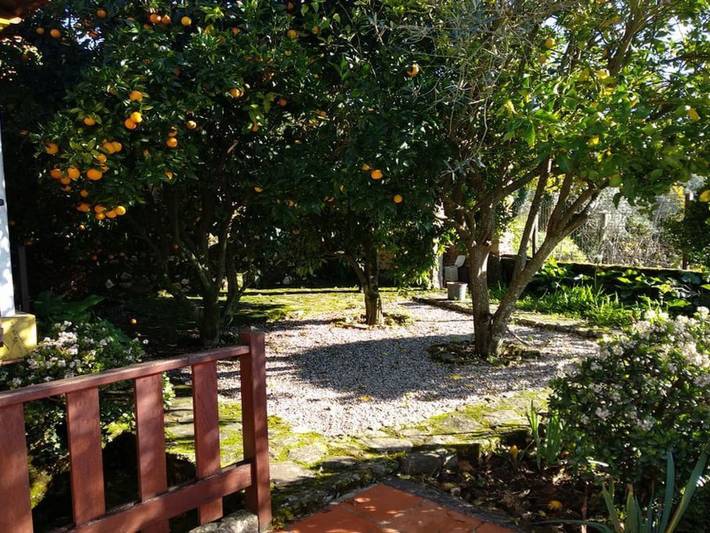 Casa de férias para 6 pessoas, com jardim em Sever do Vouga