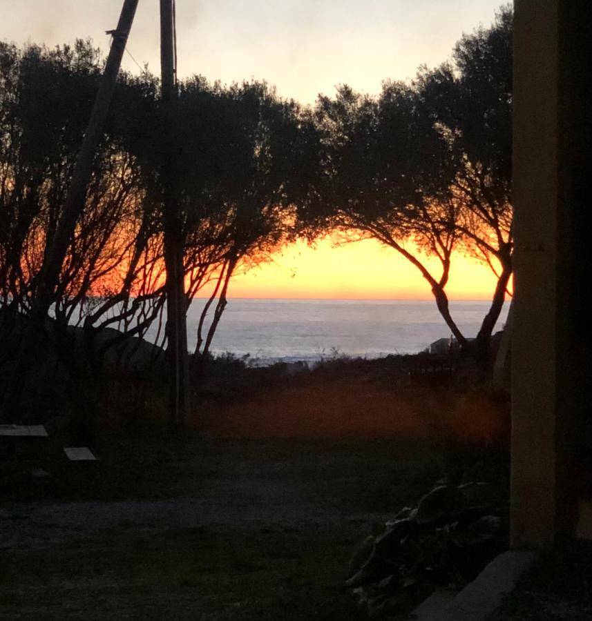 Appartement entier, Apartment with Garden View in Centuri, Cap Corse