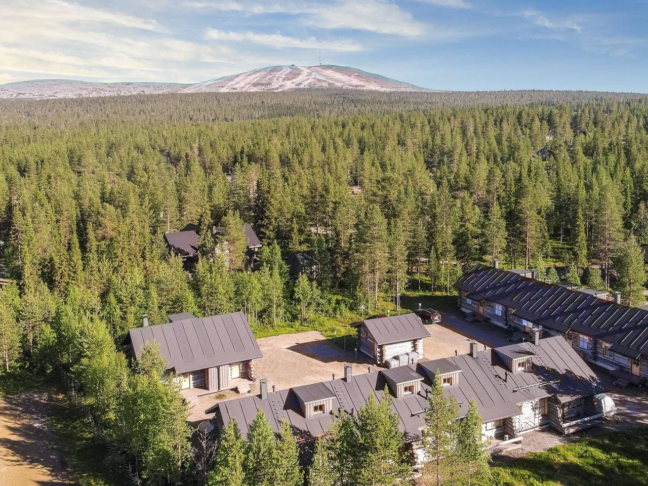 Kukasrakka a 4 in Kaulavaara, Laponie