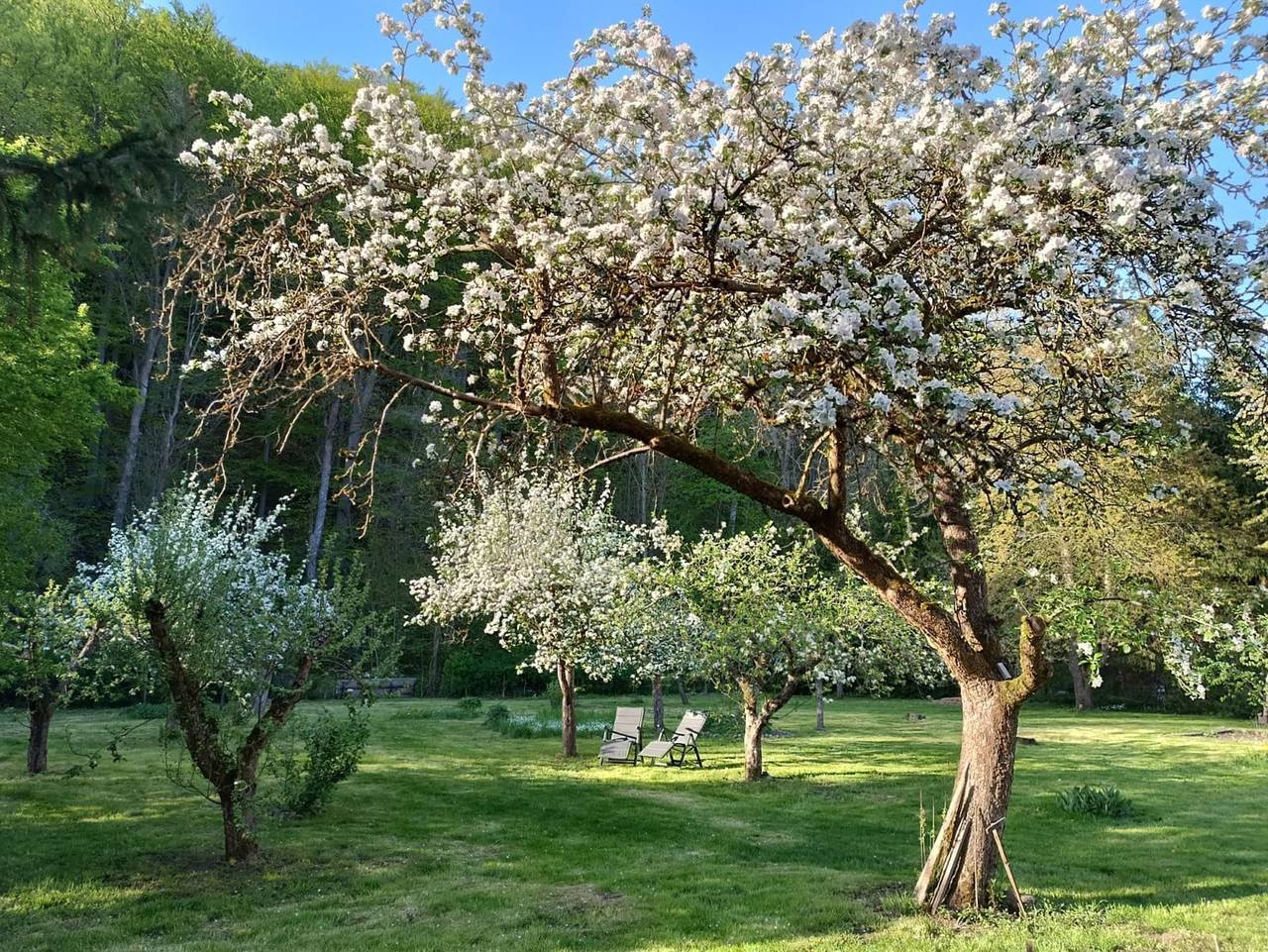Ganze Ferienwohnung, Villa Heimlicher Grund - Fewo Eg,3 Schlafz., 2 Bäder mit Wc, Küche, 140m² mit Terrasse und Garten im Denkmal geschützten Haus in Gräfenroda, Thüringer Kernland