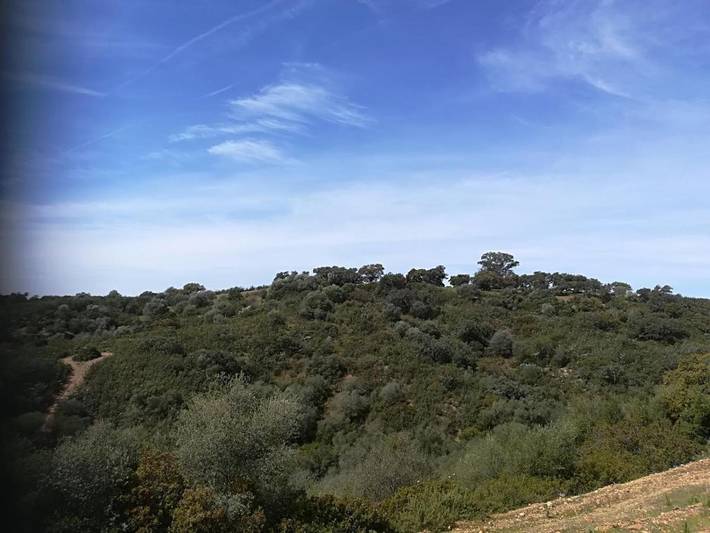 Casa rural para 6 personas, con terraza y jardín además de piscina y vistas en Vega del Guadalquivir - 3