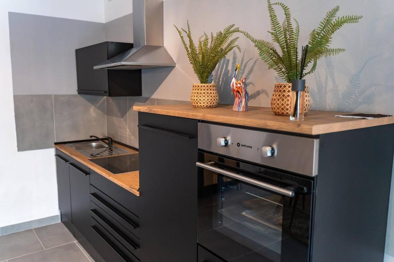 Entire apartment, Apartment 'Ein Zi Zentrum Wlan' with Wi-Fi in Offenbach am Main, Offenbach