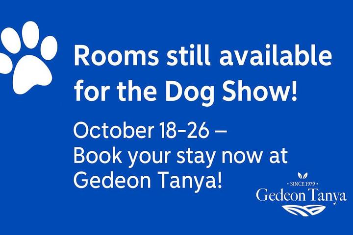 Agriturismo voor 4 personen, with tuin and zwembad as well as uitzicht, met huisdier in Hongarije