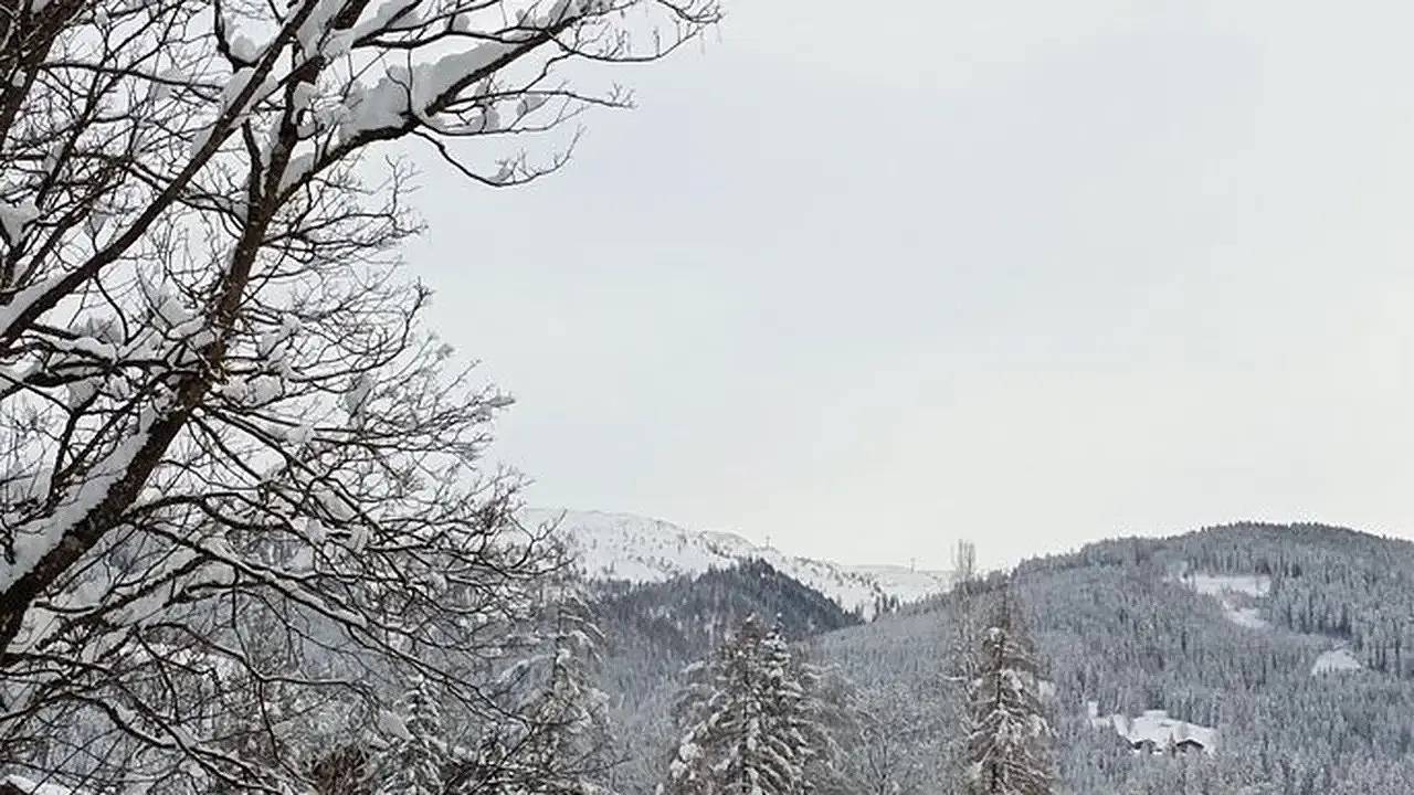 Ganze Ferienwohnung, Ferienwohnung für 6 Personen (80 m²) in Wagrain Markt in Wagrain, Ski Amadé