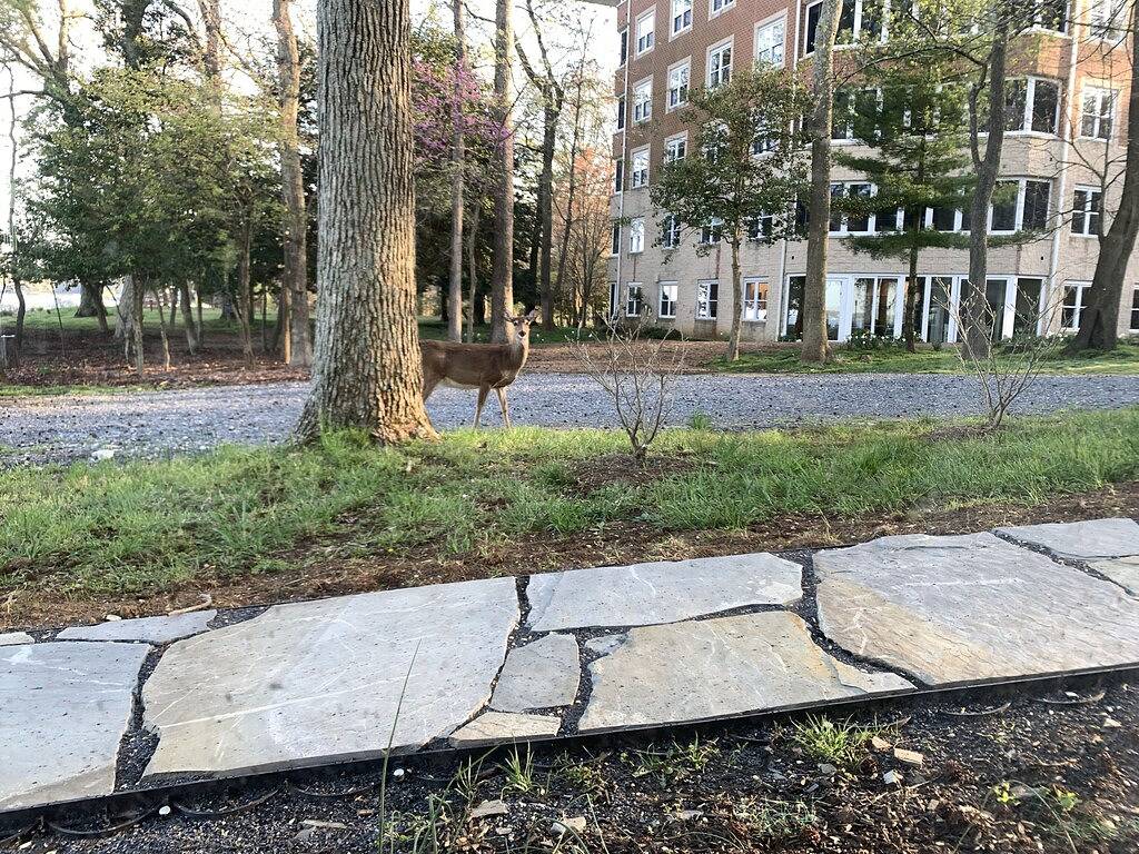 Ganze Wohnung, Bay View Studio Apartment in Annapolis, Anne Arundel County